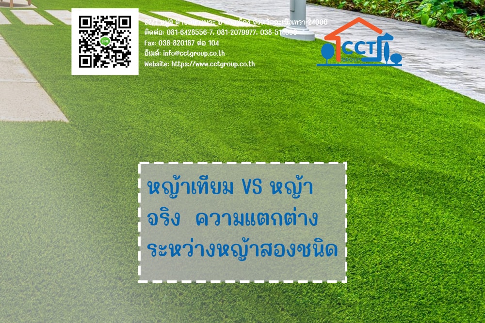 หญ้าเทียม VS หญ้าจริง ความแตกต่างระหว่างหญ้าสองชนิดนี้